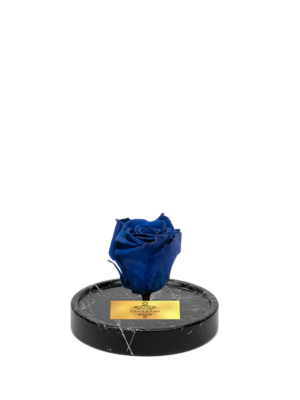 cam-fanusta-mavi-xl-solmayan-gul-bm-1-2