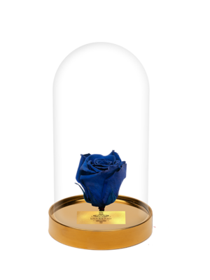 Cam Fanusta Mavi XL Solmayan Gül (G-1)