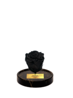 Cam Fanusta Siyah XL Solmayan Gül (GM-1)