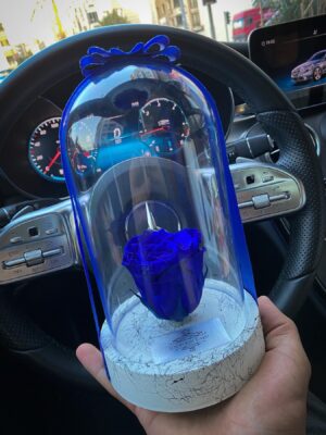 Cam Fanusta Mavi XL Solmayan Gül (BSM-1)